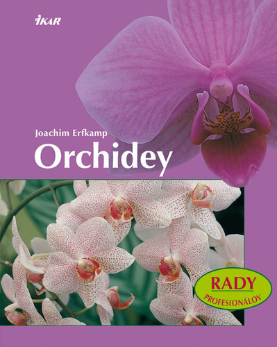 Obrázok Orchidey