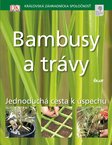 Obrázok Bambusy a trávy