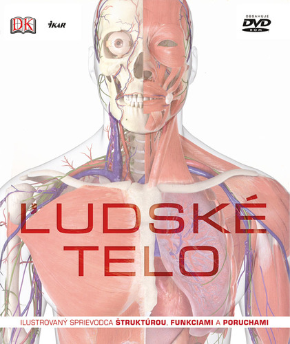 Obrázok Ľudské telo