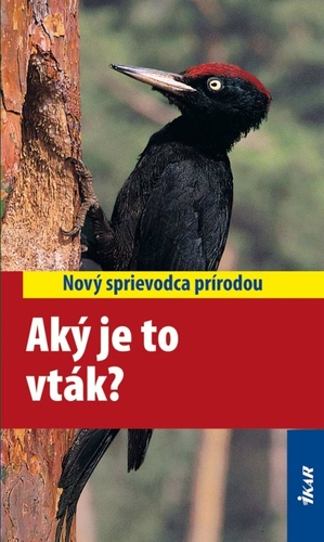 Obrázok Aký je to vták?