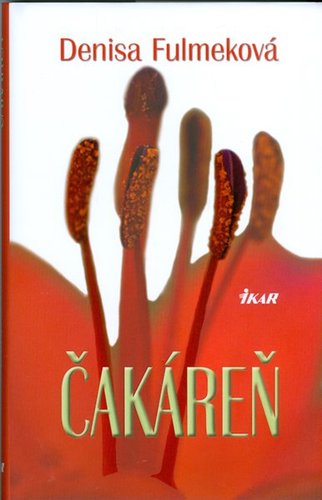 Obrázok Čakáreň