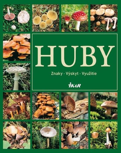 Obrázok Huby - znaky, výskyt, využitie