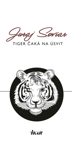 Obrázok Tiger čaká na úsvit