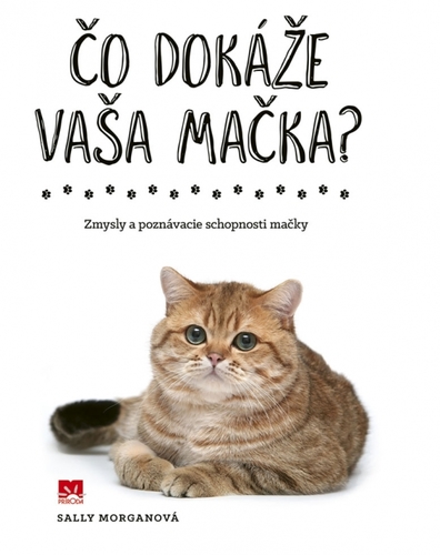 Obrázok Čo dokáže vaša mačka?