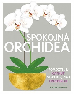 Obrázok Spokojná orchidea