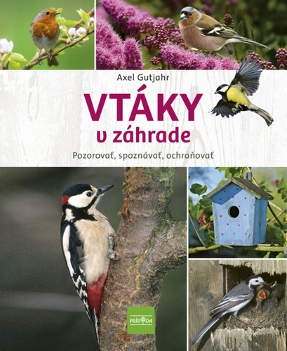 Obrázok Vtáky v záhrade - Pozorovať, spoznávať, ochraňovať