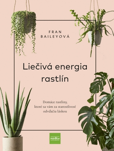 Obrázok Liečivá energia rastlín - Domáce rastliny, ktoré sa vám za starostlivosť odvďačia láskou