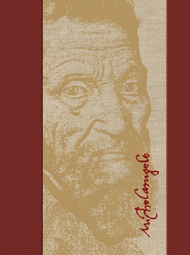Obrázok Velikán Michelangelo