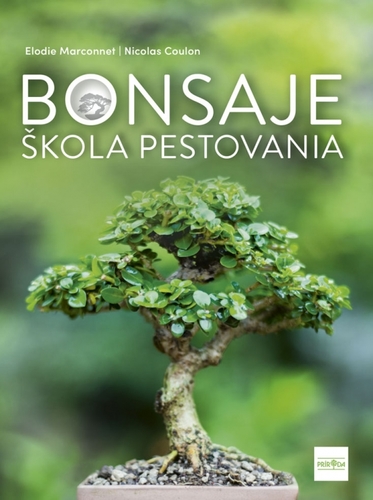 Obrázok Bonsaje - škola pestovania