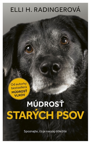 Obrázok Múdrosť starých psov