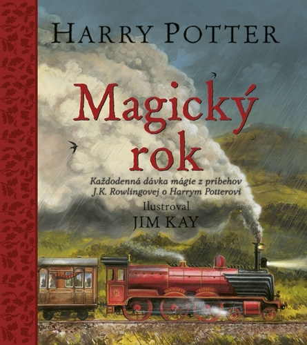 Obrázok Harry Potter: Magický rok