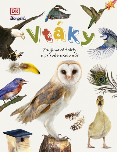 Obrázok Vtáky