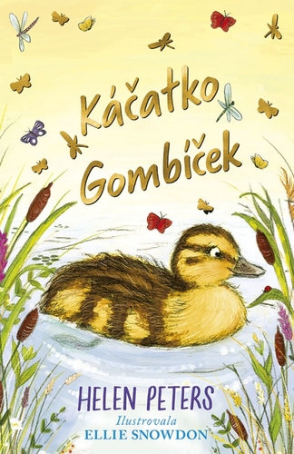 Obrázok Káčatko Gombíček