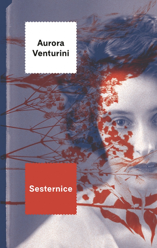 Obrázok Sesternice