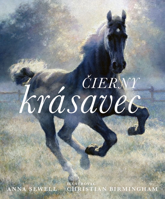 Obrázok Čierny krásavec – ilustrované vydanie