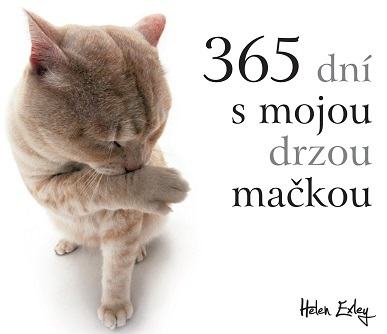 Obrázok 365 dní s mojou drzou mačkou
