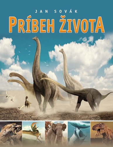 Obrázok Príbeh života