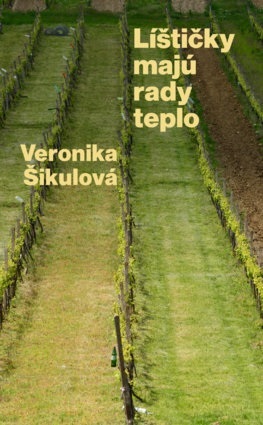 Obrázok Líštičky majú rady teplo