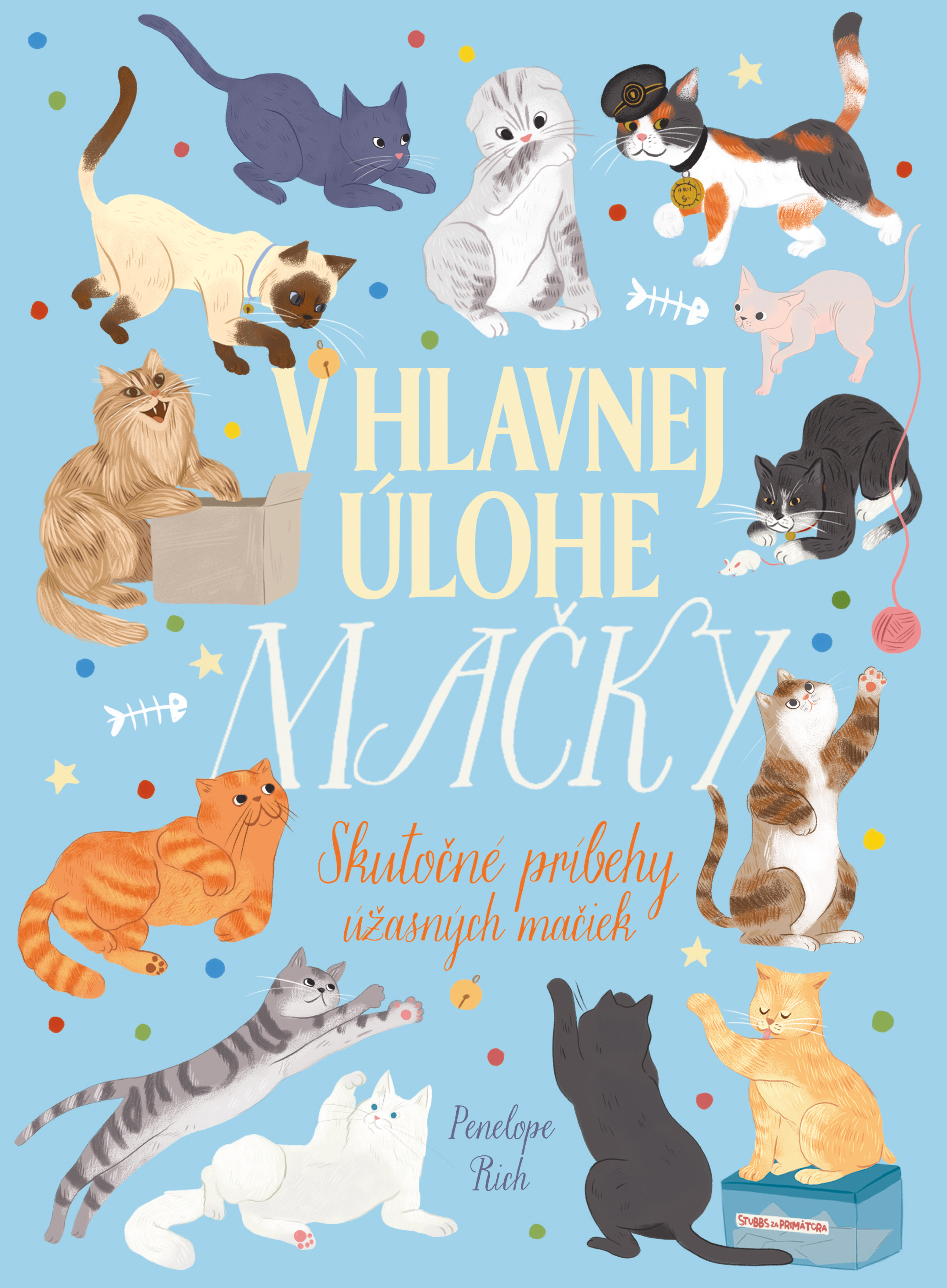 Obrázok V hlavnej úlohe mačky
