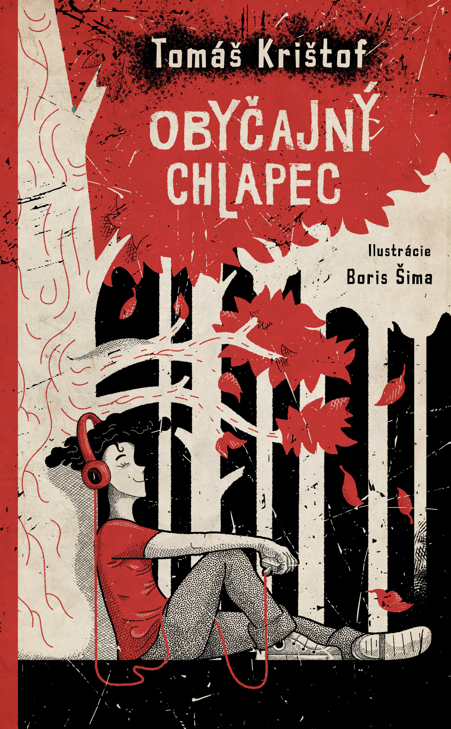 Obrázok Obyčajný chlapec
