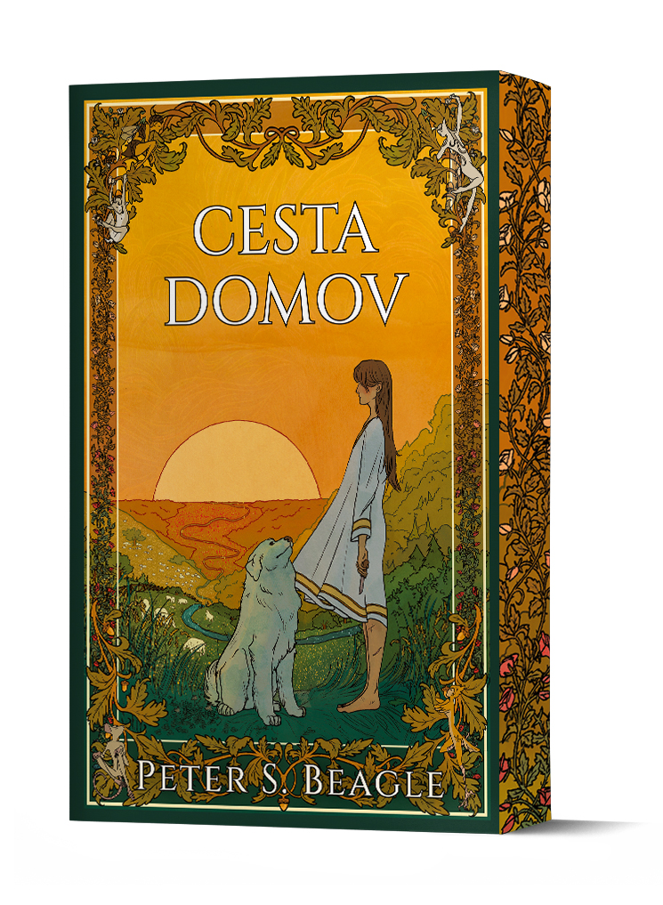 Obrázok Cesta domov