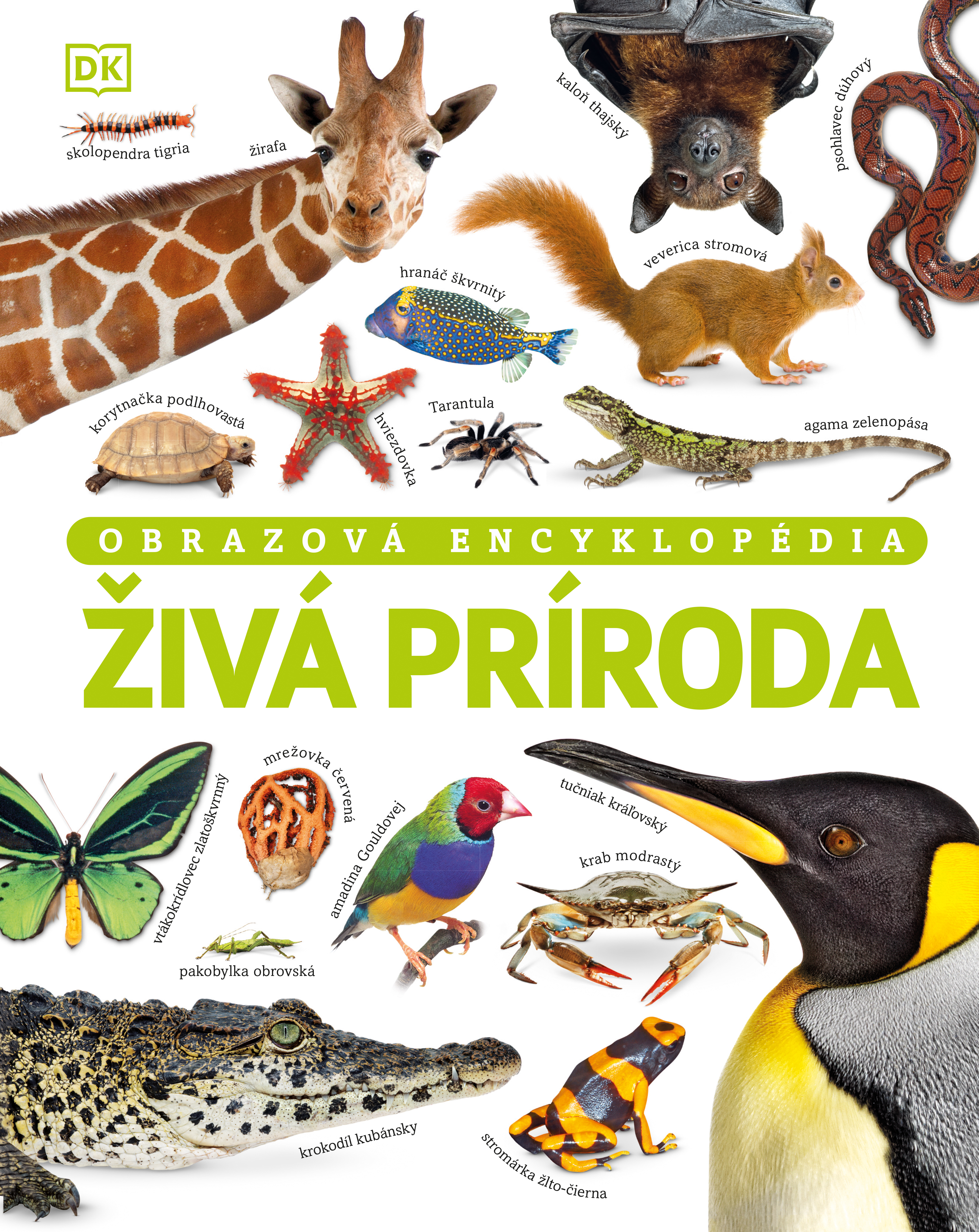 Obrázok Živá príroda