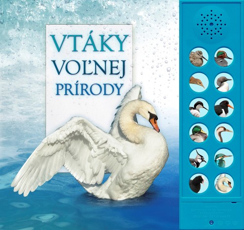 Obrázok Vtáky voľnej prírody