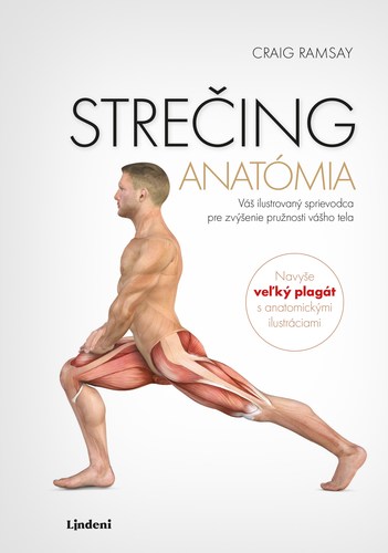 Obrázok Strečing - anatómia