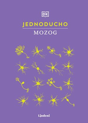 Obrázok Jednoducho - Mozog