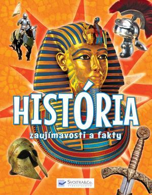 Obrázok História – zaujímavosti a fakty