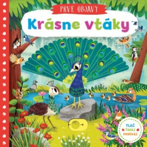 Obrázok Krásne vtáky
