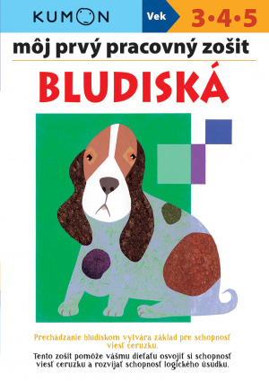 Obrázok Bludiská - môj prvý pracovný zošit