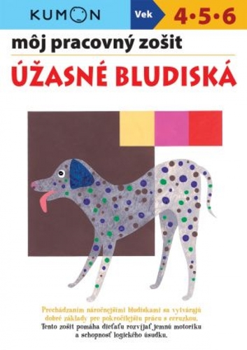 Obrázok Úžasné bludiská - Môj pracovný zošit