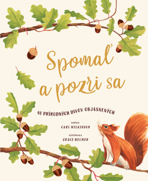 Obrázok Spomaľ a pozri sa