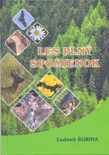 Obrázok Les plný spomienok