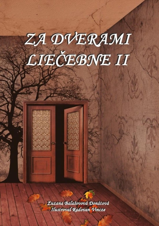 Obrázok Za dverami liečebne II.