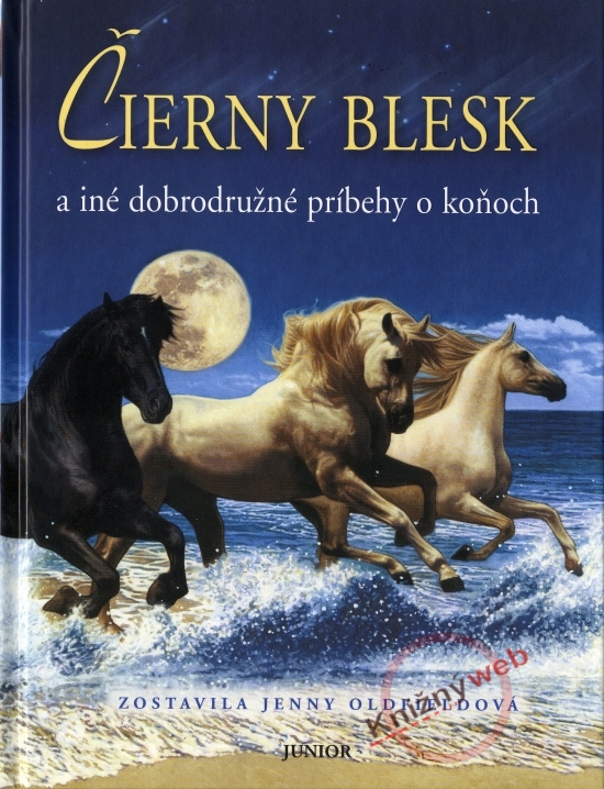 Obrázok Čierny Blesk a iné dobrodružné príbehy o koňoch