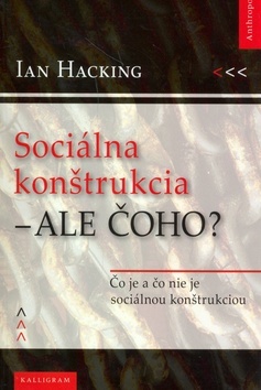 Obrázok Sociálna konštrukcia – Ale čoho?