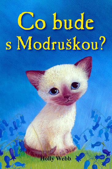 Obrázok Co bude s Modruškou?