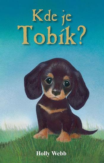 Obrázok Kde je Tobík?