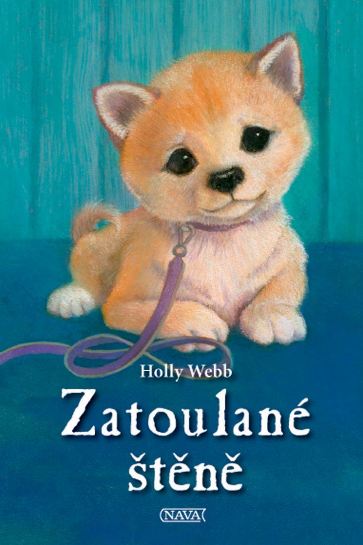 Obrázok Zatoulané štěně