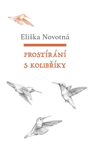Obrázok Prostírání s kolibříky