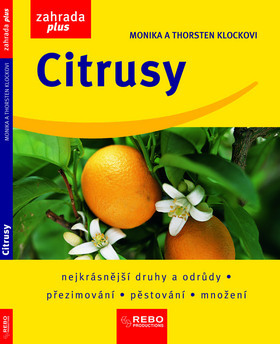 Obrázok Citrusy