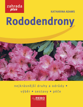 Obrázok Rododendrony