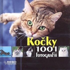 Obrázok Kočky - 1001 fotografií