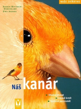 Obrázok Náš kanár