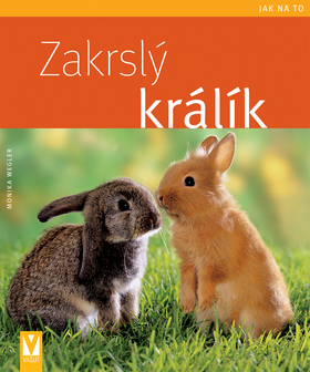 Obrázok Zakrslý králík - Jak na to