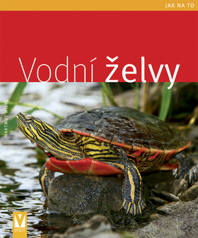 Obrázok Vodní želvy - jak na to