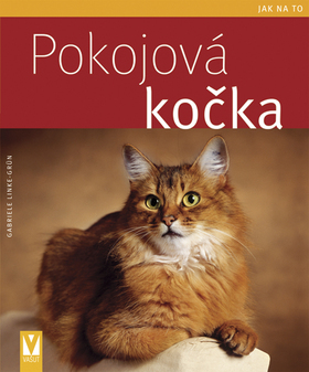 Obrázok Pokojová kočka  - Jak na to