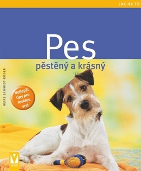 Obrázok Pes pěstěný a krásný